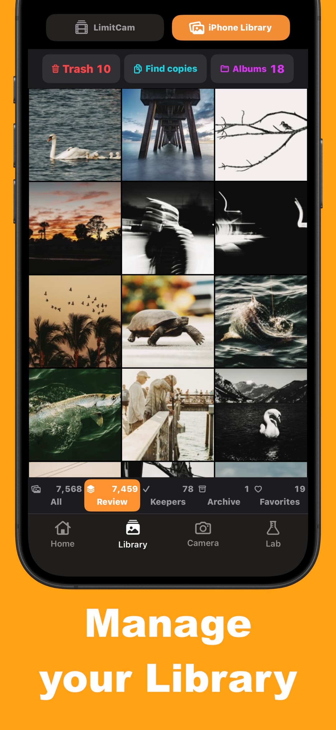 Import and Sync screen
